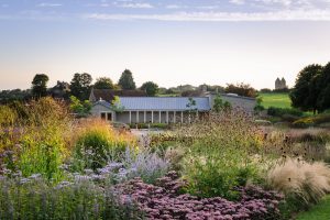 A garden in summer with layers of planting (flowers and greenery), looking towards buildings.